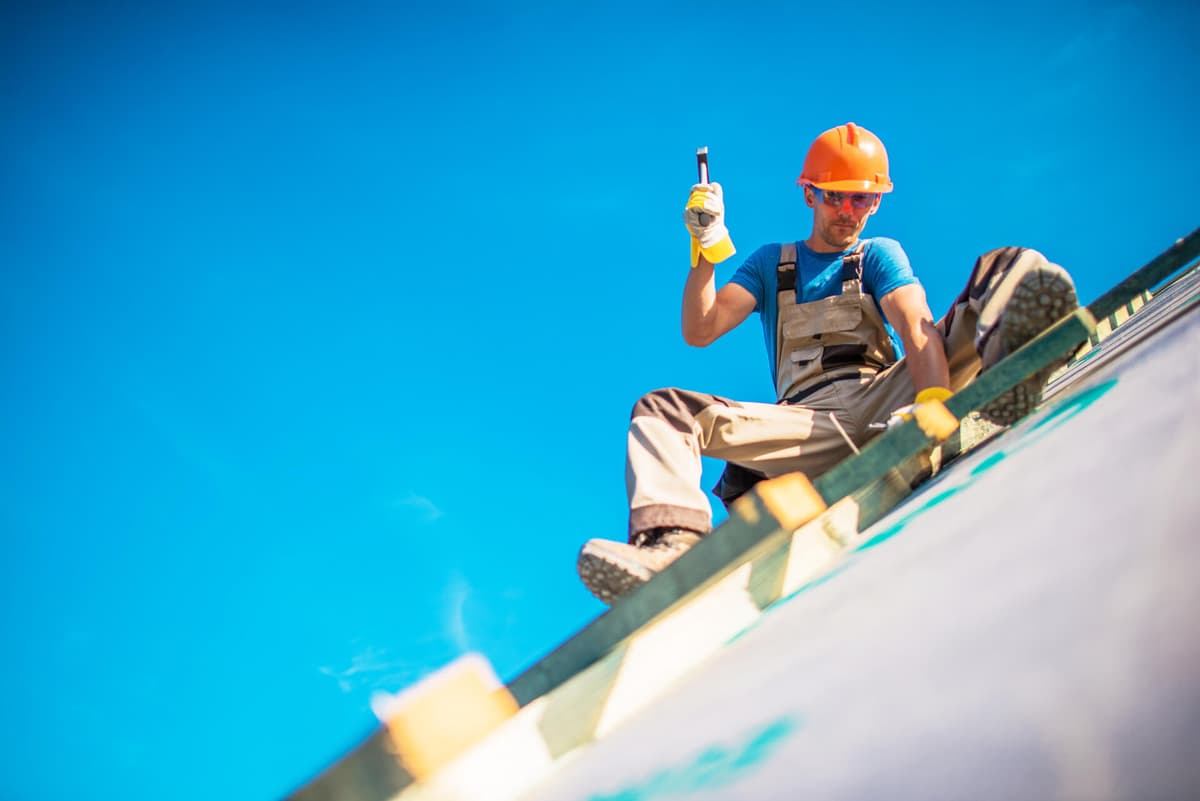 Rénovation de toiture et traitement